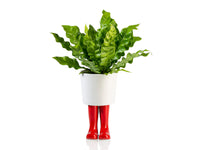 WELLINGTON BOOT PLANTER LARGE RED