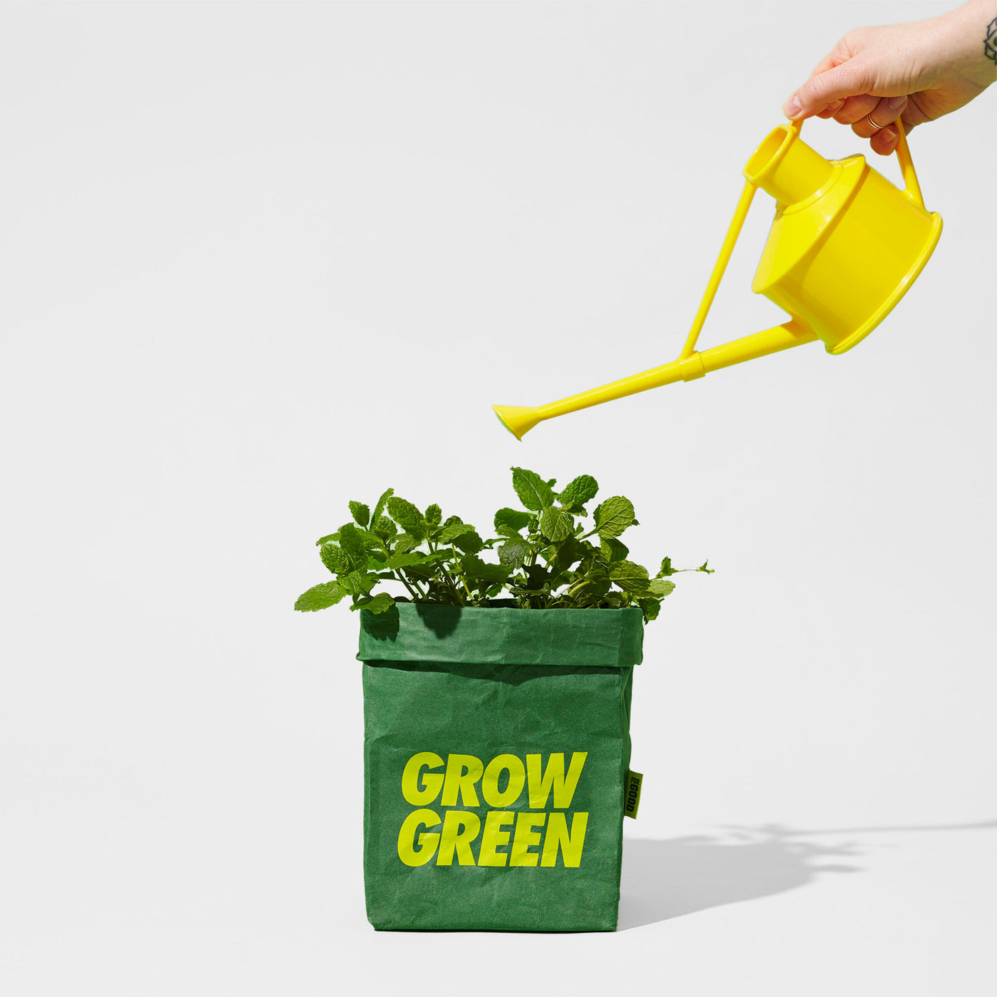 FOR GOOD - HOME GROWN HERO GROW KIT