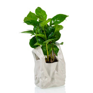 Vaso I am Not a Plastic Bag