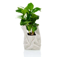 Vaso I am Not a Plastic Bag Large