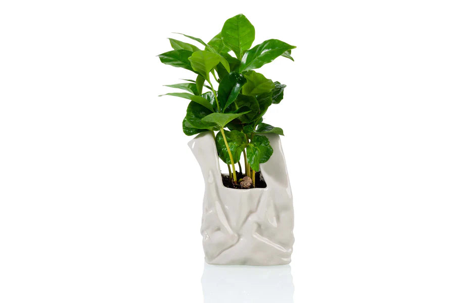 Vaso I am Not a Plastic Bag Large