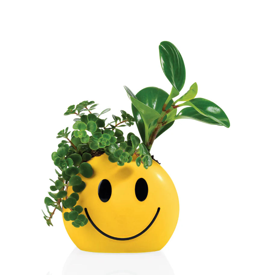 MOOD POT - VASO SUNSHINE