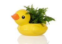FLOATY DUCK POT