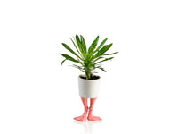 FLAMINGO FEET PLANTER SMALL