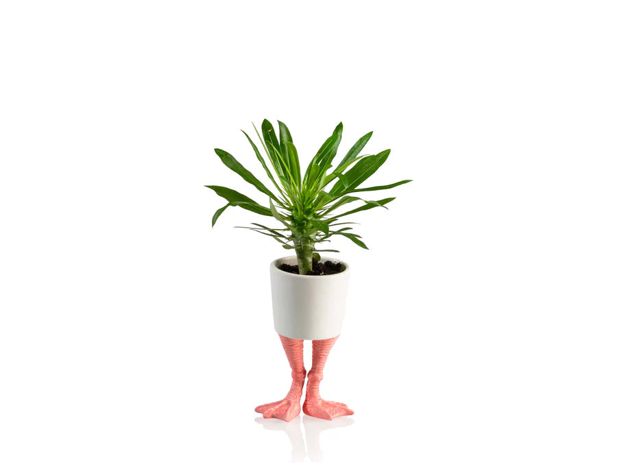 vaso con piedi fenicottero