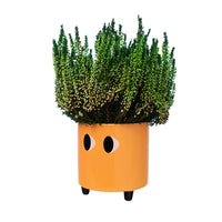 PORTA VASO OCCHI ARANCIO