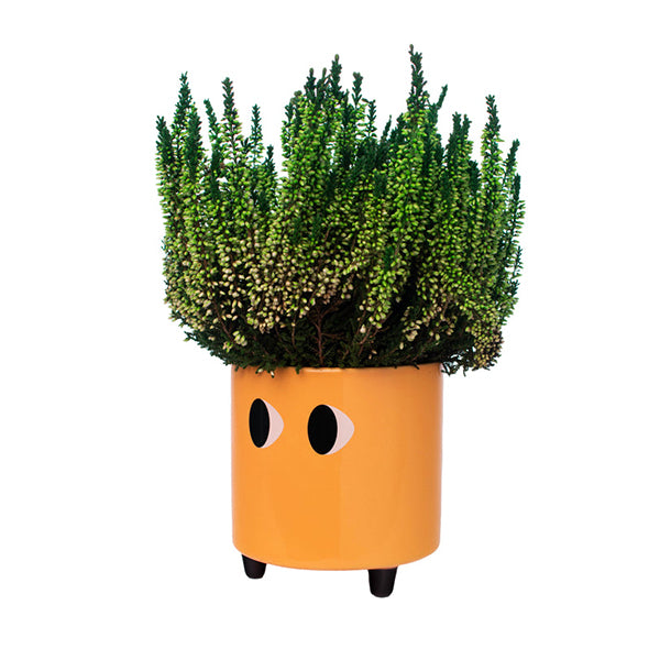VASO OCCHI ARANCIO