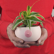 the Boob Bowl - Vaso Tetta