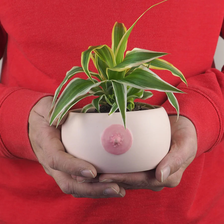 the Boob Bowl - Vaso Tetta