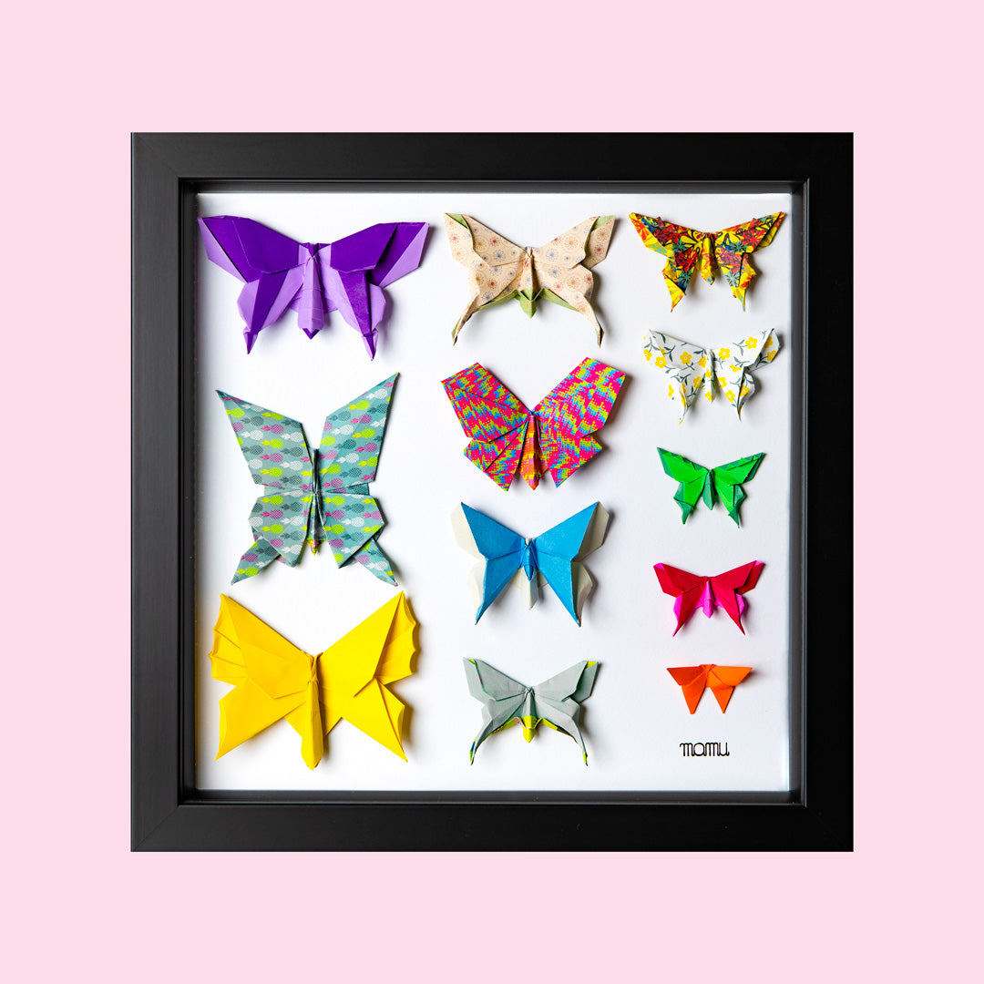 VIENI A VEDERE LA MIA COLLEZIONE DI FARFALLE?!