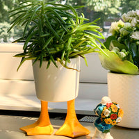 DUCK FEET PLANTER SMALL