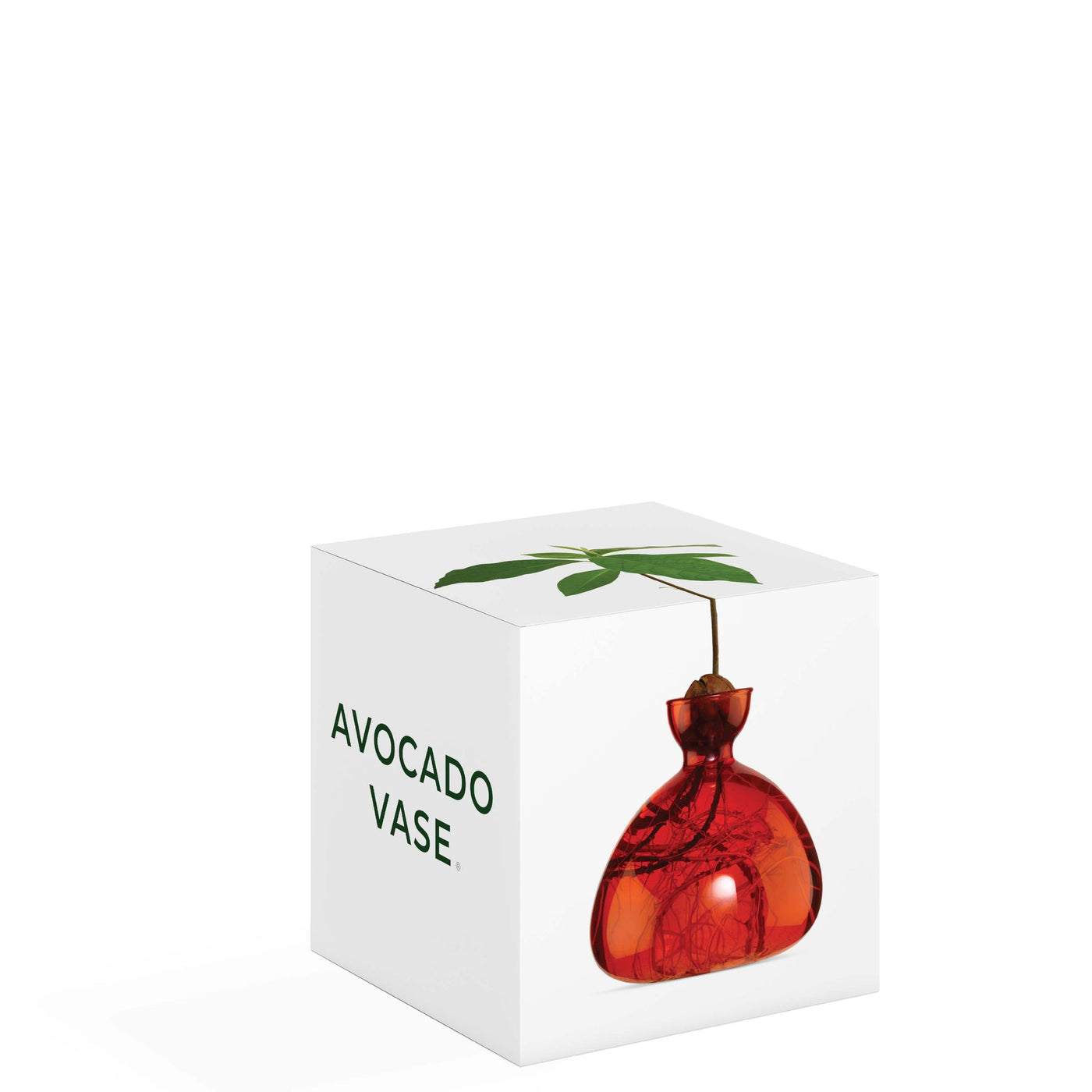 VASO AVOCADO RED