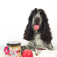 WOOF BAKE - DOGNUTS