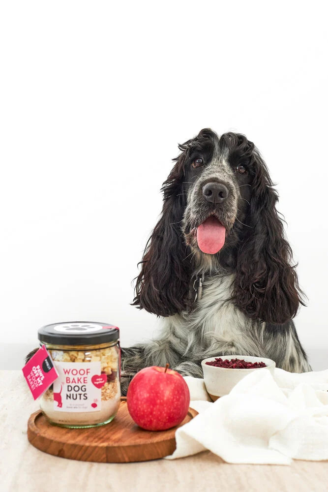 WOOF BAKE - DOGNUTS