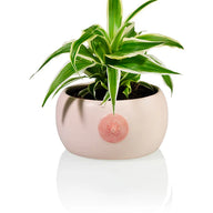 the Boob Bowl - Vaso Tetta