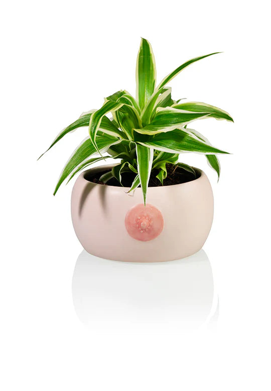 the Boob Bowl - Vaso Tetta