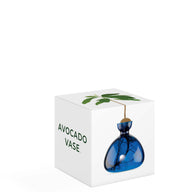 VASO AVOCADO BLUE