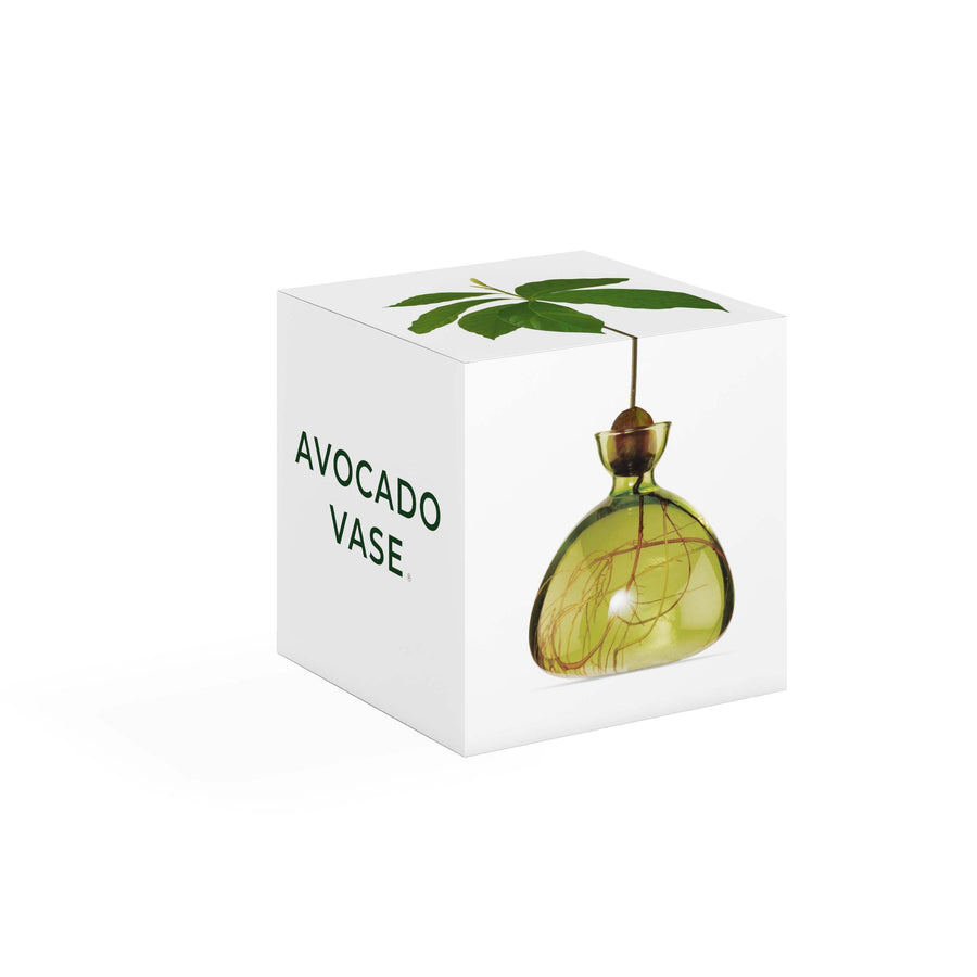 VASO AVOCADO GREEN