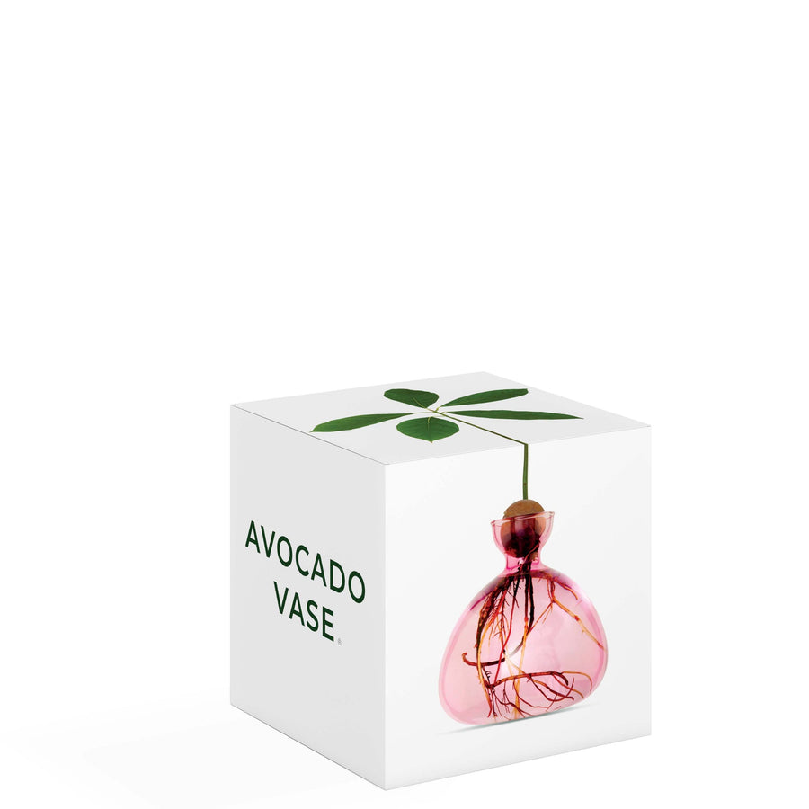 VASO AVOCADO PINK