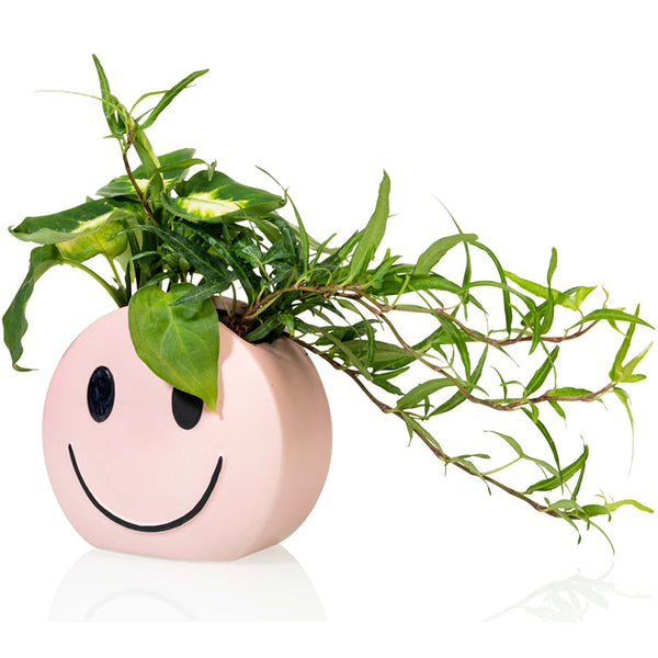 MOOD POT - VASO SMILE