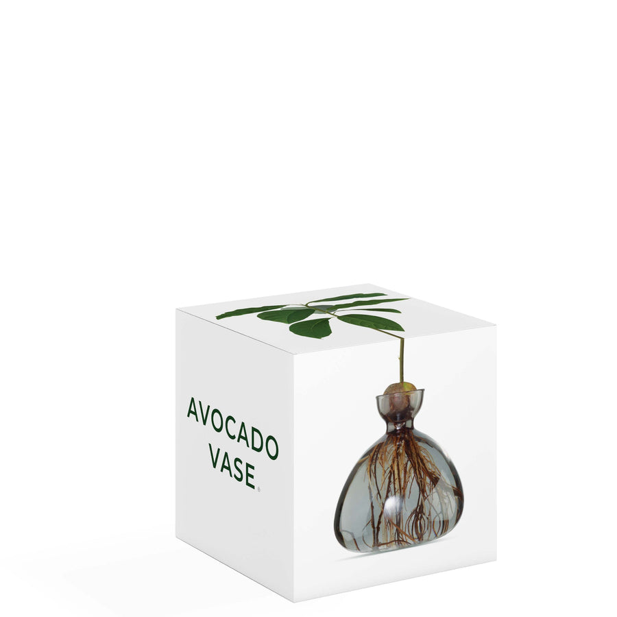 VASO AVOCADO GRAY