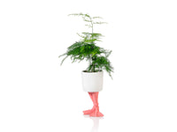 FLAMINGO FEET PLANTER SMALL