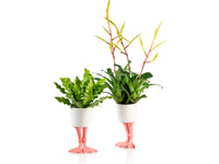 FLAMINGO FEET PLANTER LARGE