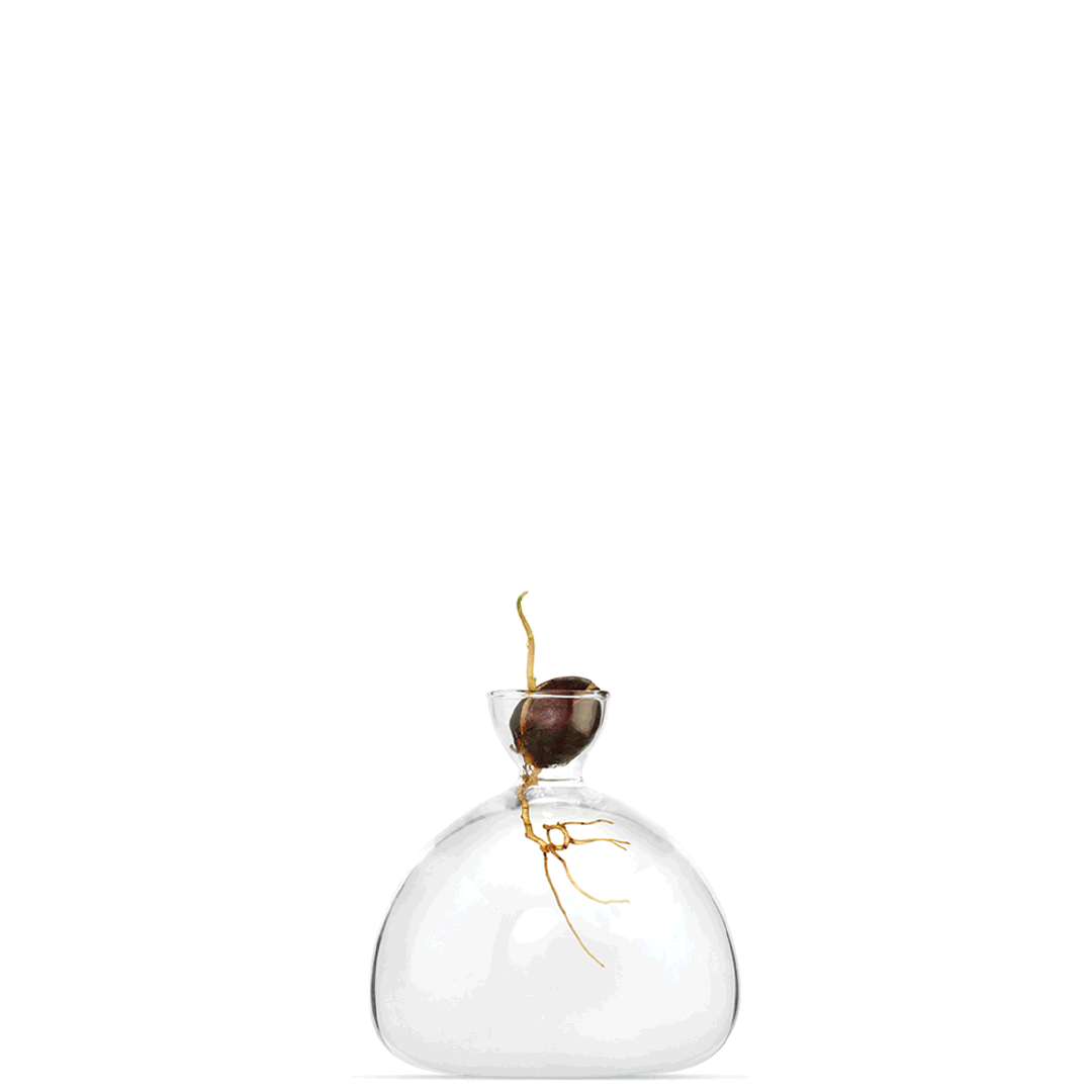VASO AVOCADO GRAY