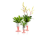 FLAMINGO FEET PLANTER SMALL