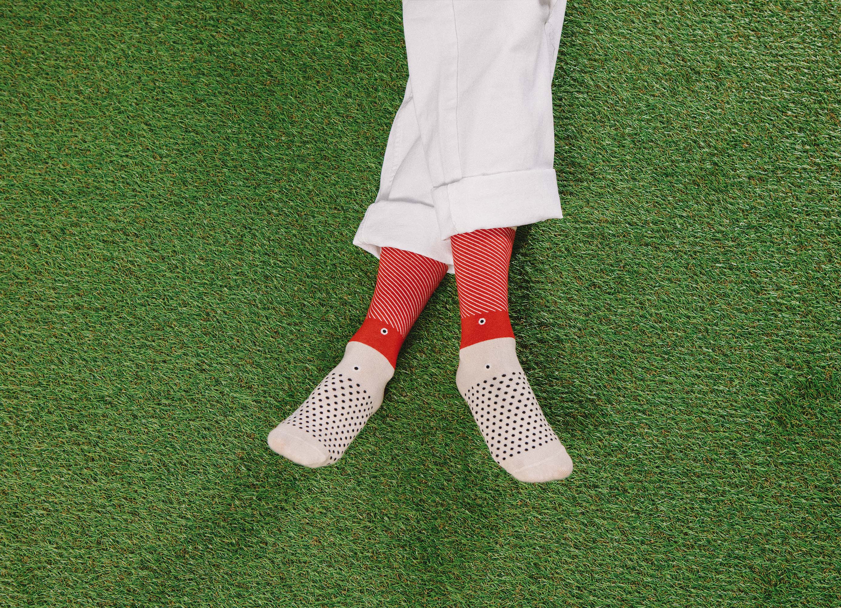 CALZE WILD SARDINES SOCKS