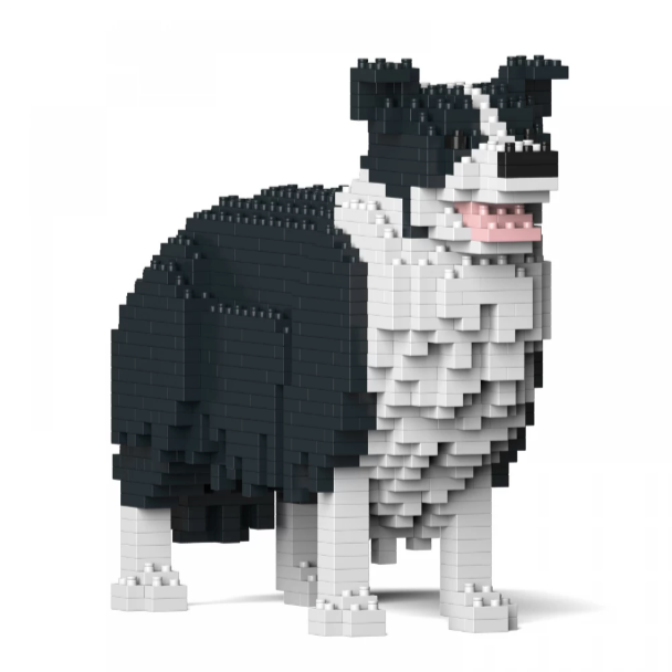 JEKCA BORDER COLLIE