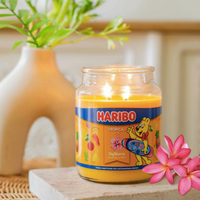 CANDELA PROFUMATA TROPICAL FUN HARIBO 510GR.