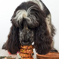 WOOF BAKE - DOGNUTS
