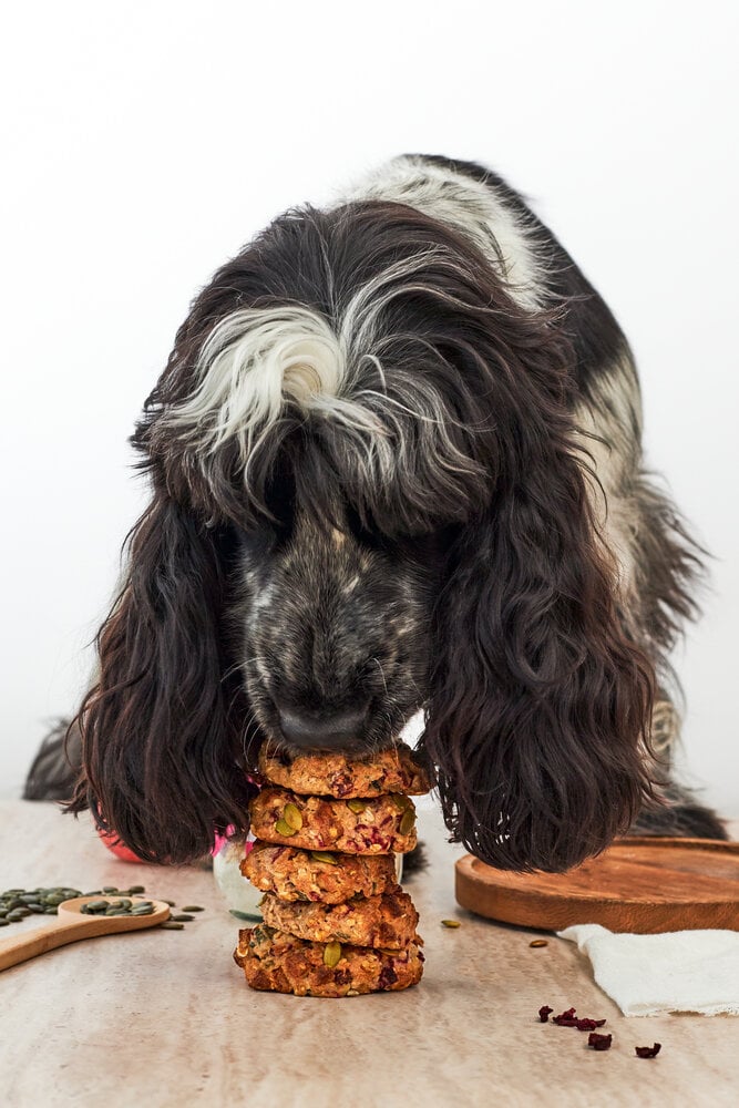 WOOF BAKE - DOGNUTS