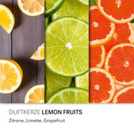 LEMON FRUITS - CANDELA PROFUMATA HARIBO 300GR.