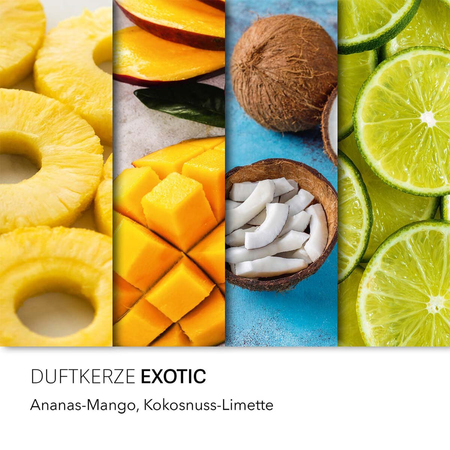 EXOTIC - CANDELA PROFUMATA HARIBO 510GR.