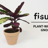 PLANT SELF WATERING GNOME GREEN