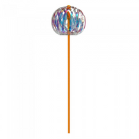 BLISTER MAGICA BOLLA