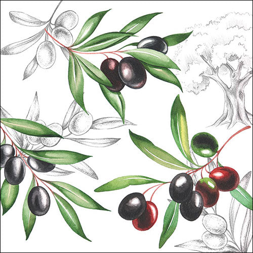 TOVAGLIOLI CARTA OLIVE
