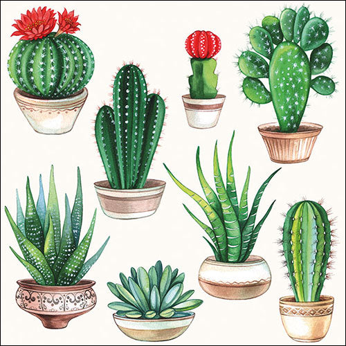 TOVAGLIOLI CARTA CACTUS WHITE
