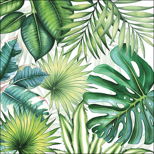 TOVAGLIOLI CARTA TROPICAL LEAVES JUNGLE