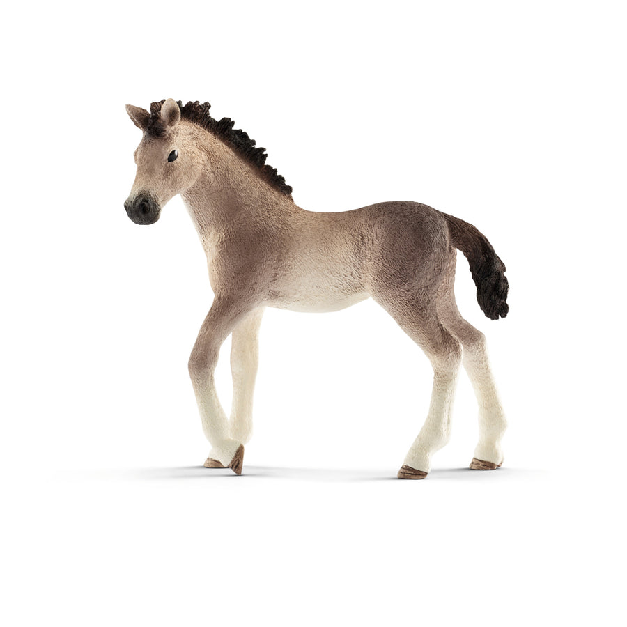 PULEDRO ANDALUSO 13822