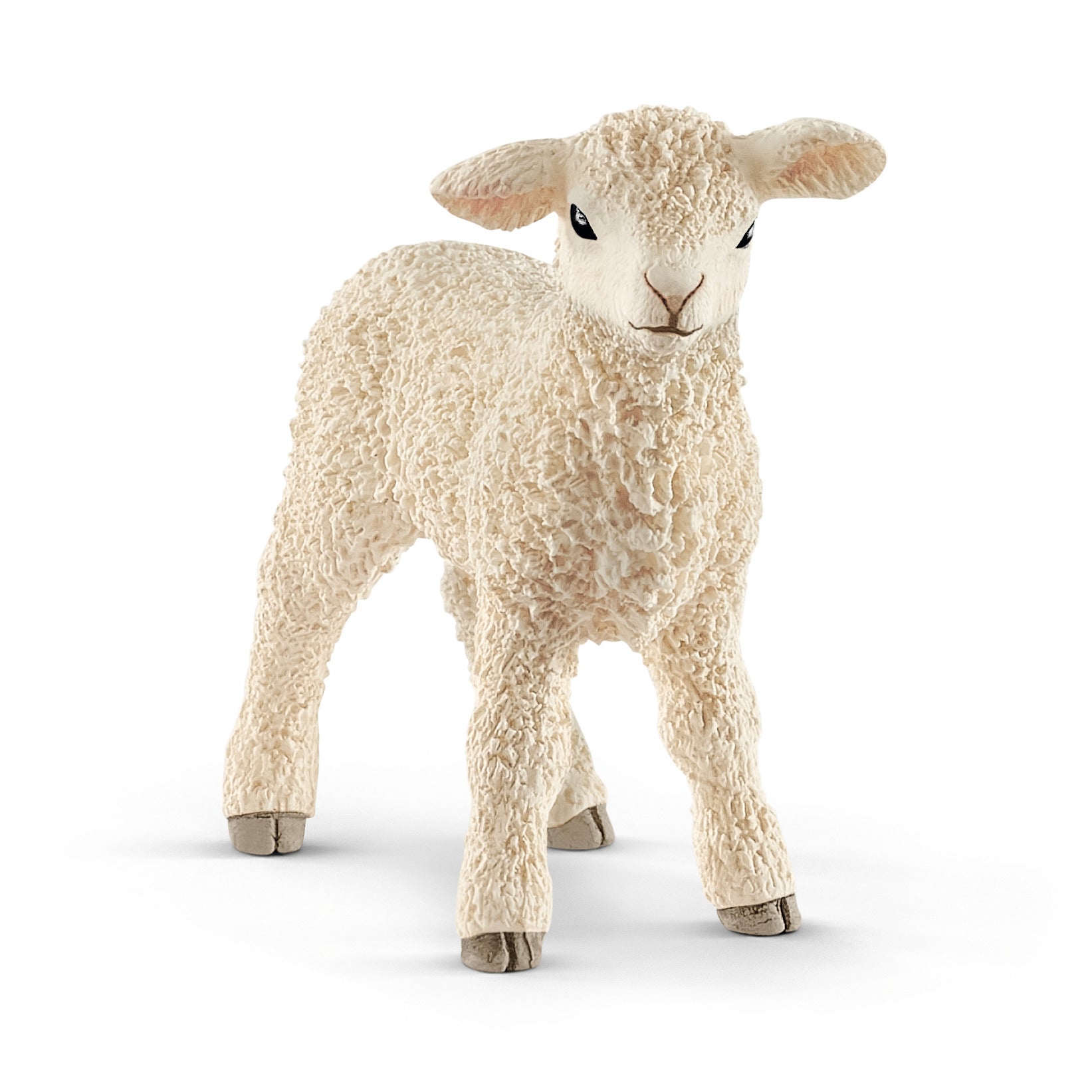 AGNELLO