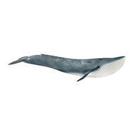 BALENOTTERA AZZURRA 14806