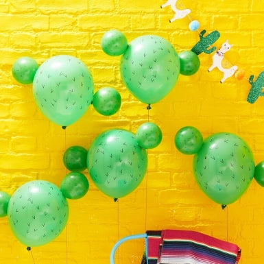BALLOONS CACTUS POM POM