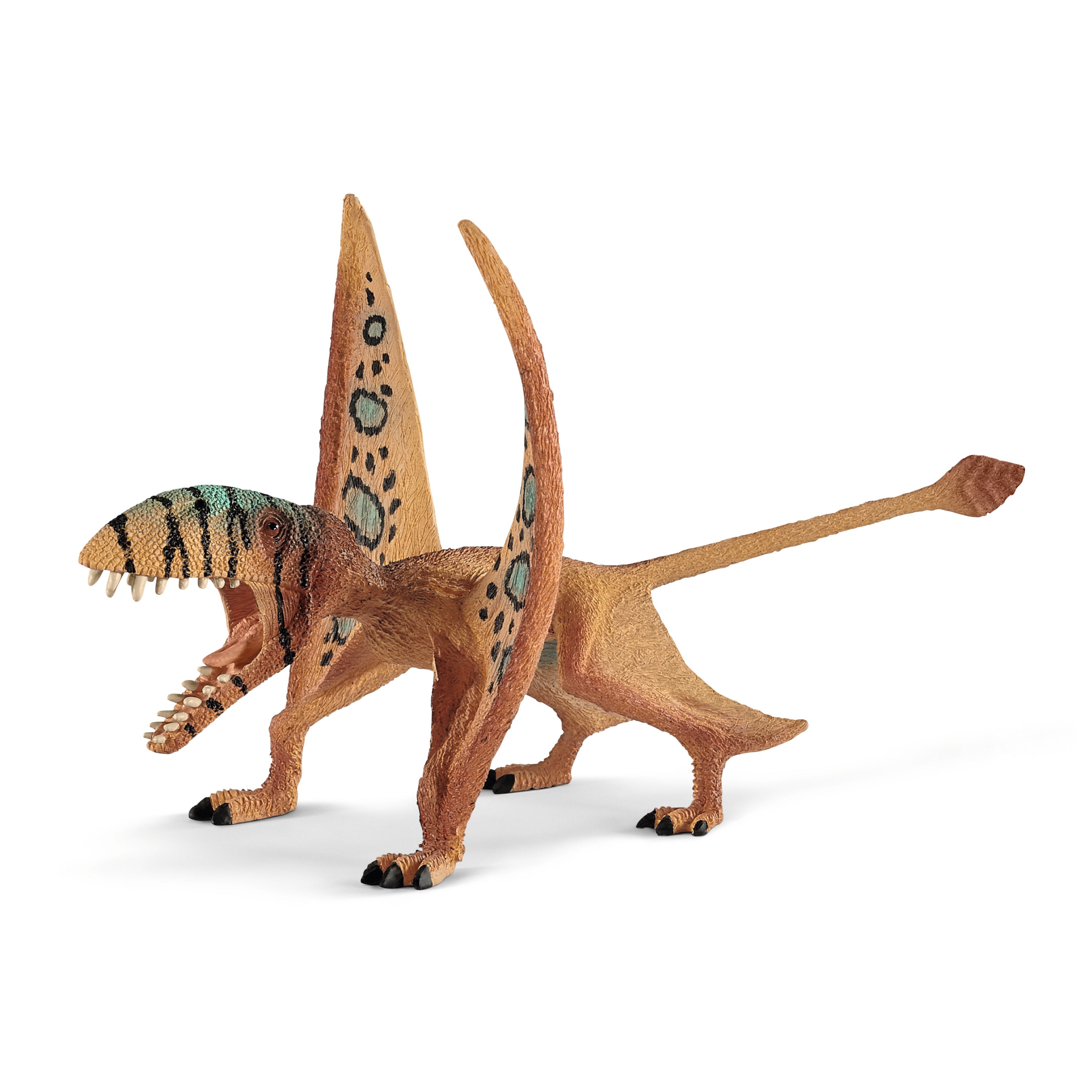DIMORPHODON