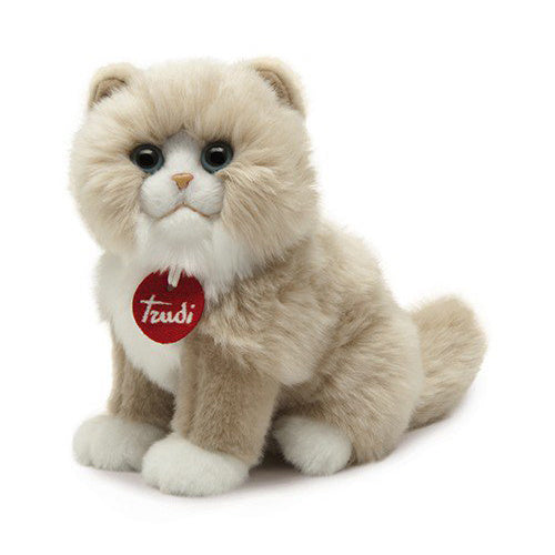 GATTINO PERSIANO CLODINE GRIGIO