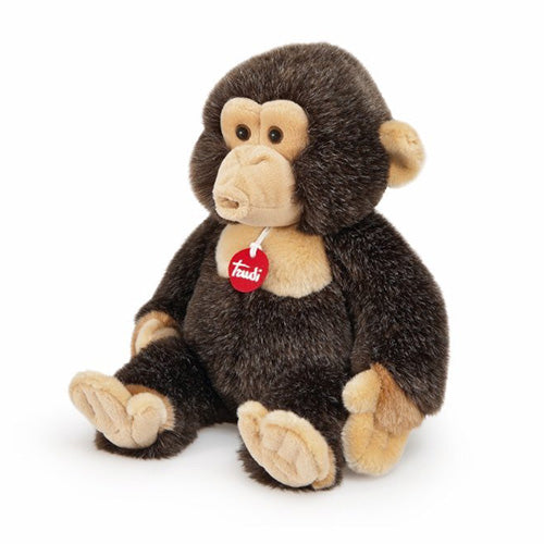 MONKEY EVARISTO