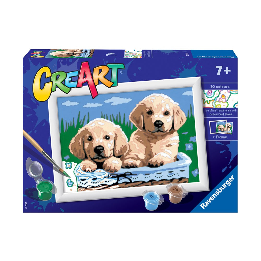 CREART CANI