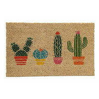 ZERBINO CACTUS